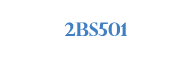 2BS501